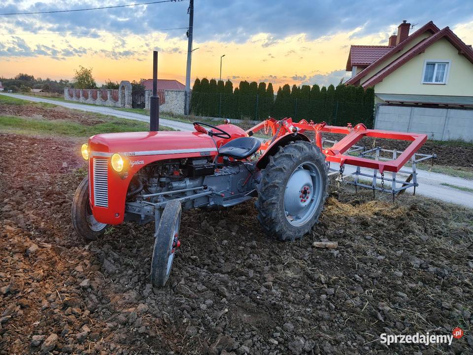 Ferguson tea20 z 1956r Gniewce