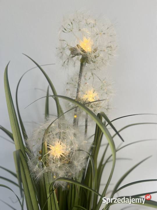 Sztuczna trawa dekoracyjna Premium podświetlana Golkowice