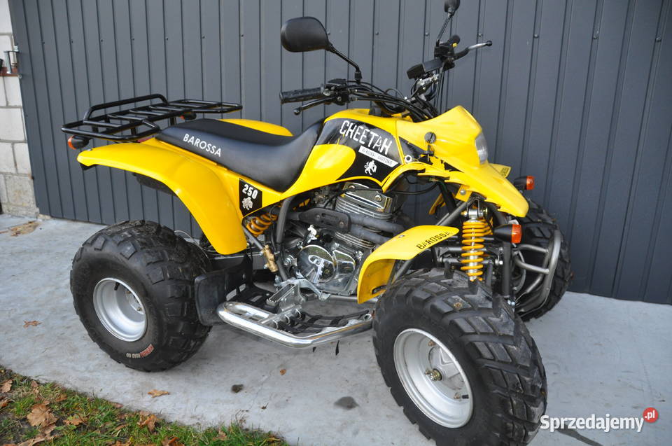 Quad Barossa 250 04R830 Maxer400 Linhai Dinli Frampol