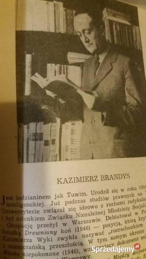 Pisarze polscy