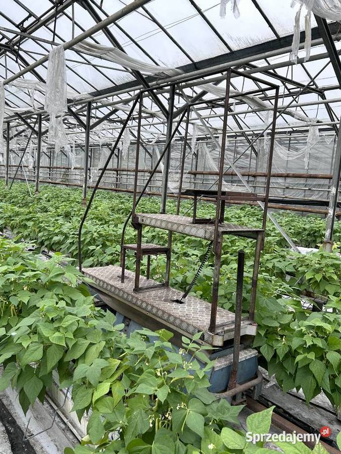 Zawór zaporowy zasuwa klinowa DN 80 Śmigiel