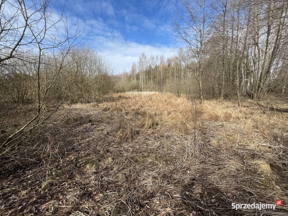 Działka o pow 208 ha w m Kawęczyn gm Ciepielów Nowy Kawęczyn