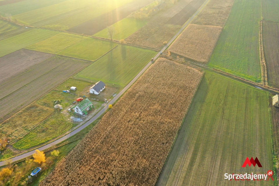 sprzedaży działki 6427m2 Lubanie