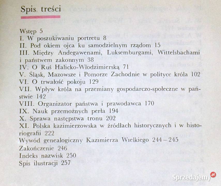 Kazimierz Wielki Jerzy Wyrozumski lubelskie Chełm