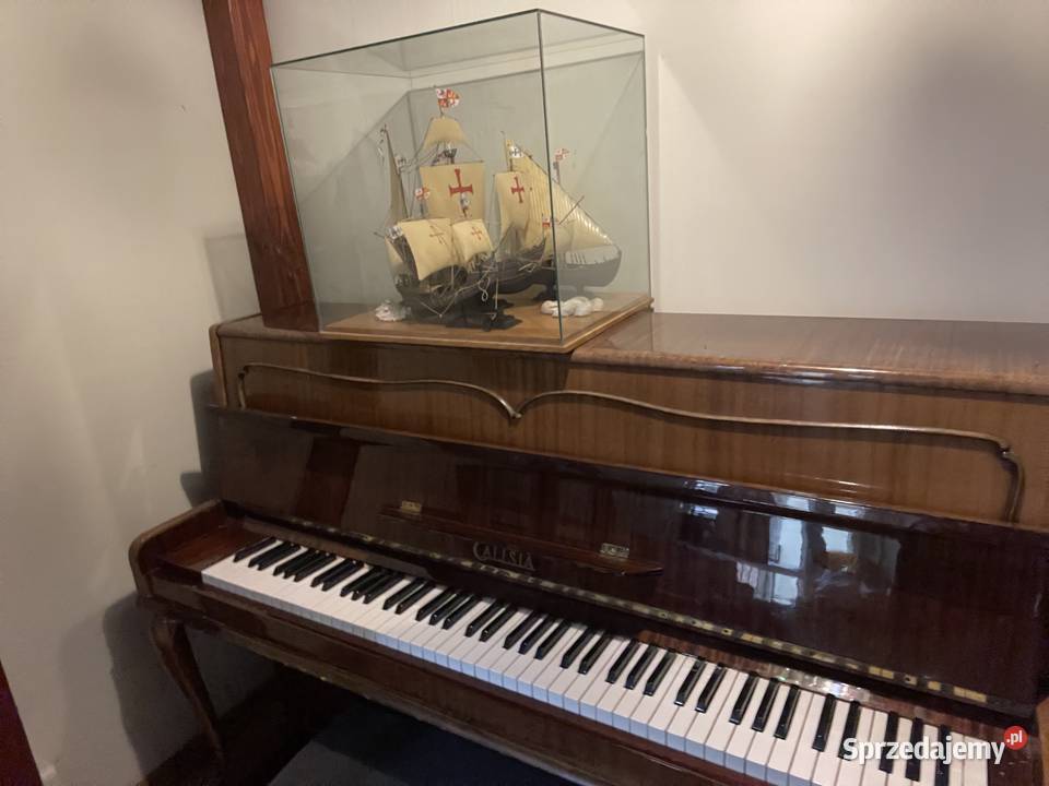 Pianino Calisia w pełni sprawne