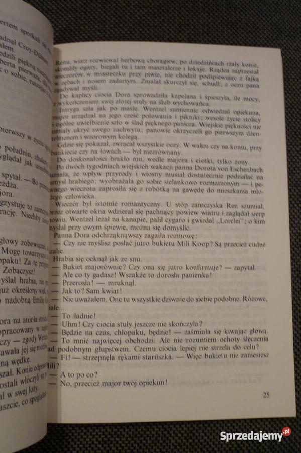 Między ustami a brzegiem pucharu Częstochowa