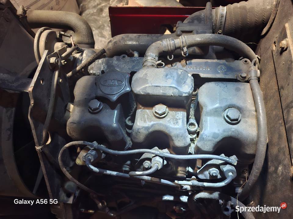 Ciagniczek Antonio Carraro wielkopolskie