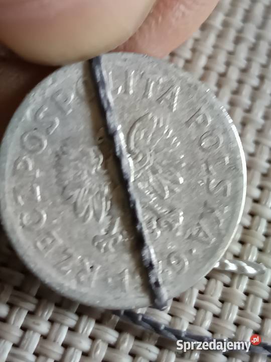 Sprzedam 50 groszy 1949 lekka skrętka Chełm sprzedam