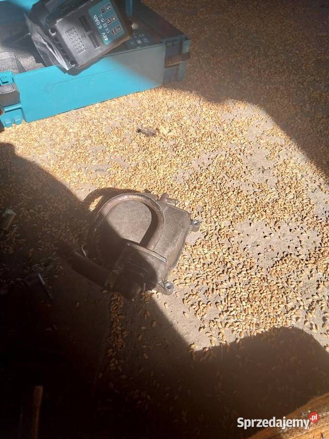 Silnik do skutera Tarnów