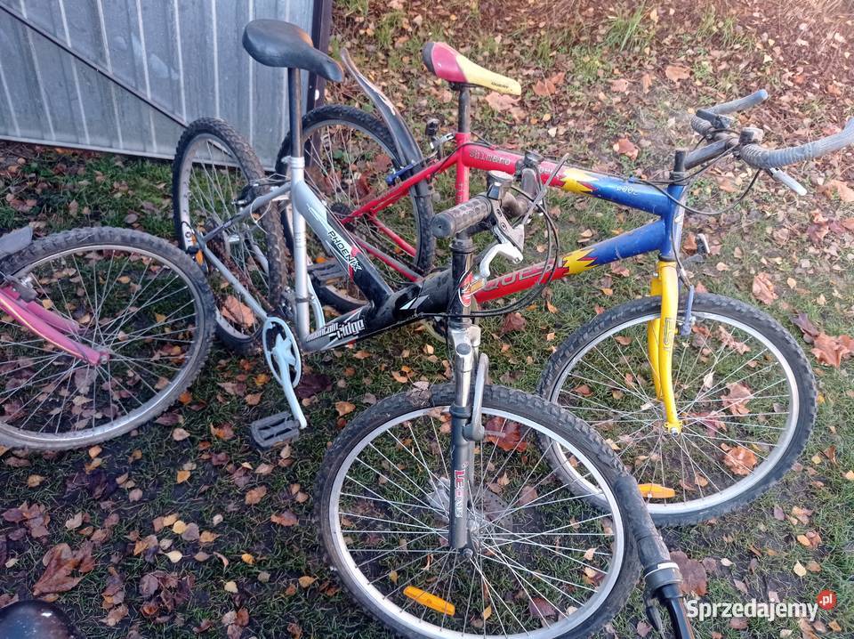 Pakiet Rowerów z Niemiec Góral Damka Męski Dzierżoniów