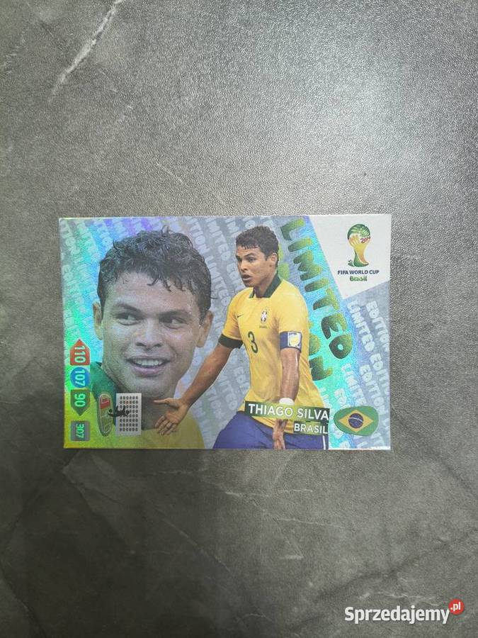 PANINI FIFA WORLD CUP BRASIL 2014 Pozostałe
