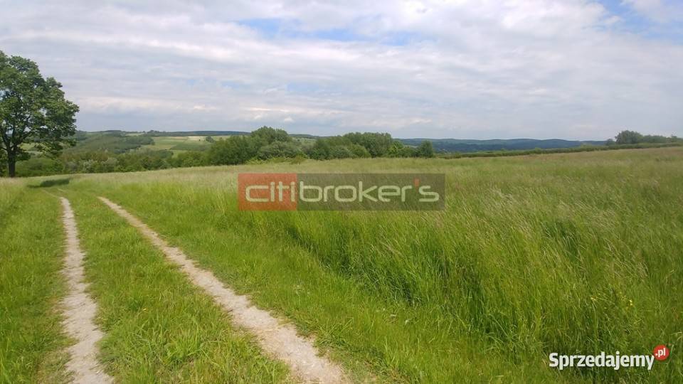 Sprzedaż gruntu Straszydle