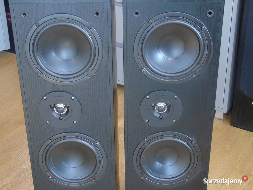 Śliczne kolumny Magnat Project 2x 180 wat Jasło