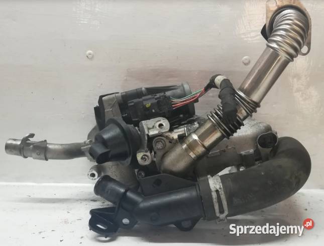 Chłodnica Spalin 16 BLUE HDI 9802194080 Suchedniów sprzedam