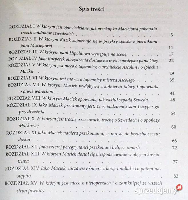 Szwedzi w Warszawie Walery Przyborowski