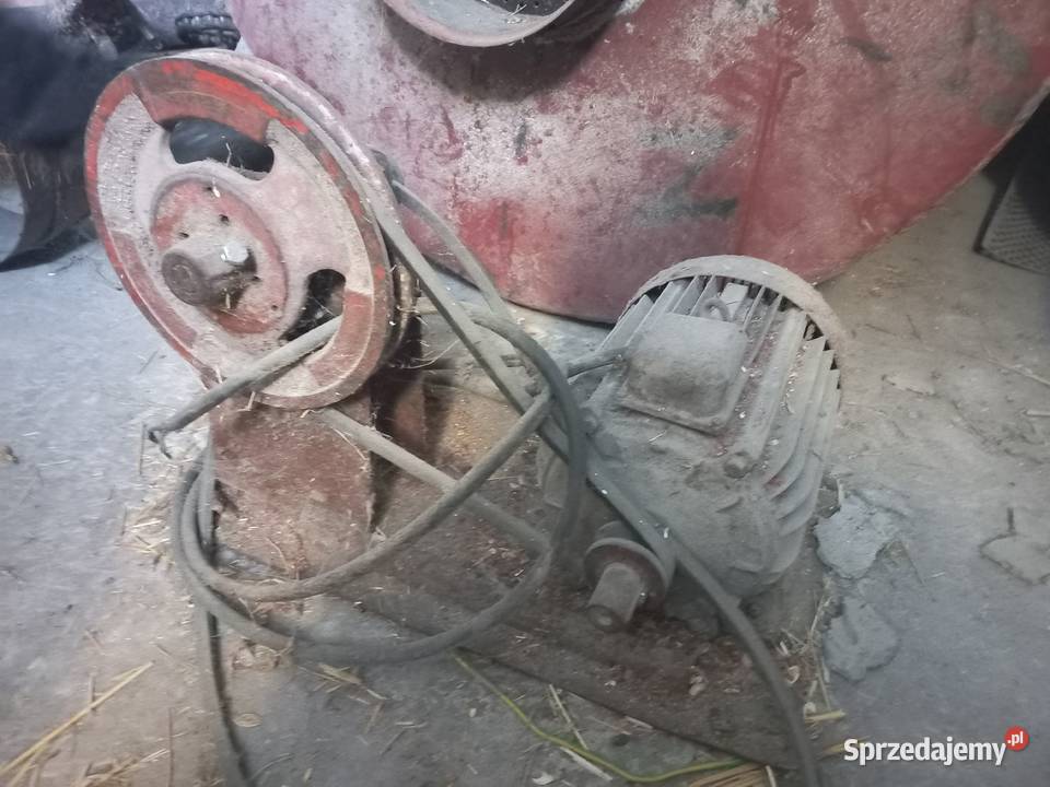 Bęben suszarnia do pestki dyni Podedwórze