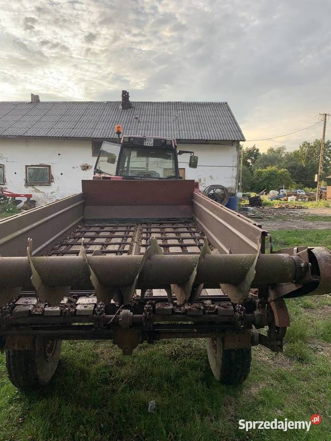 Mechanik nieuszkodzony Prusiek