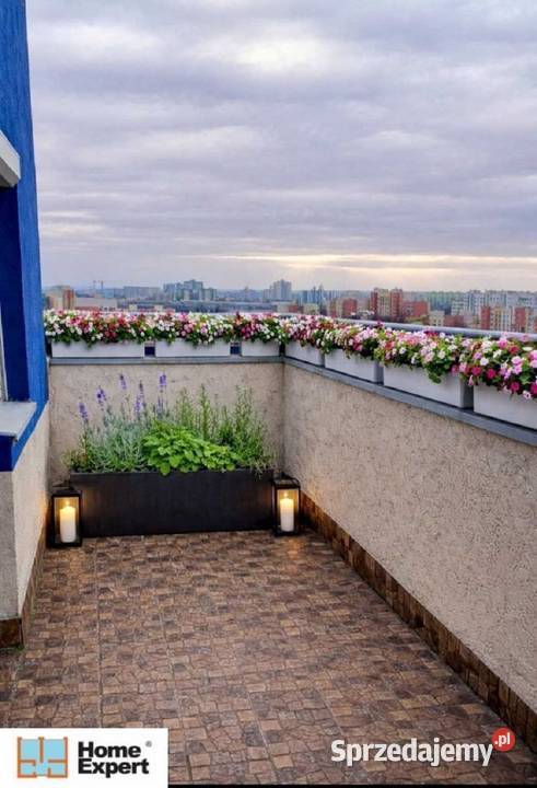 1pok 30met Bulwaru Ikara TARASKOMÓRKAWINDA Wrocław