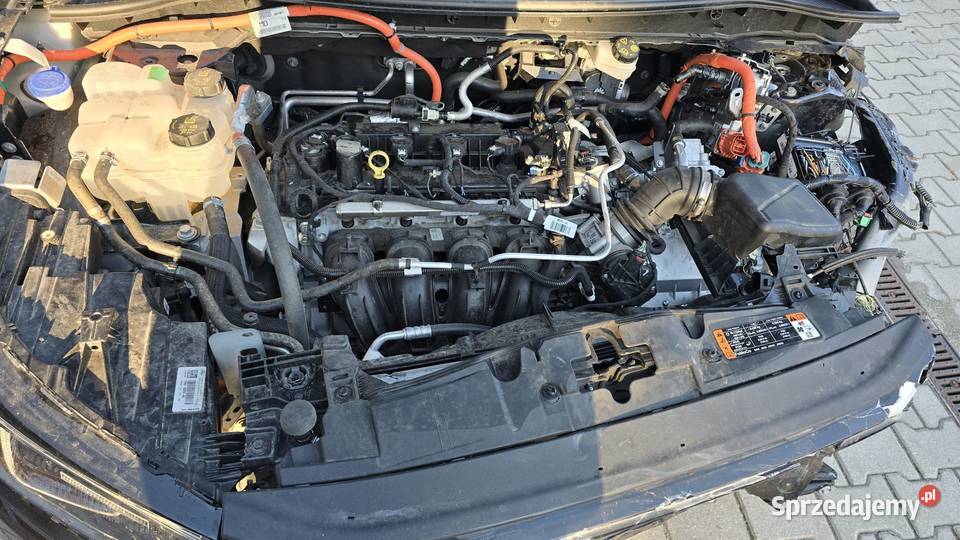 Ford Kuga 25 FHEV FWD STLine X eCVT Nowy Świętów