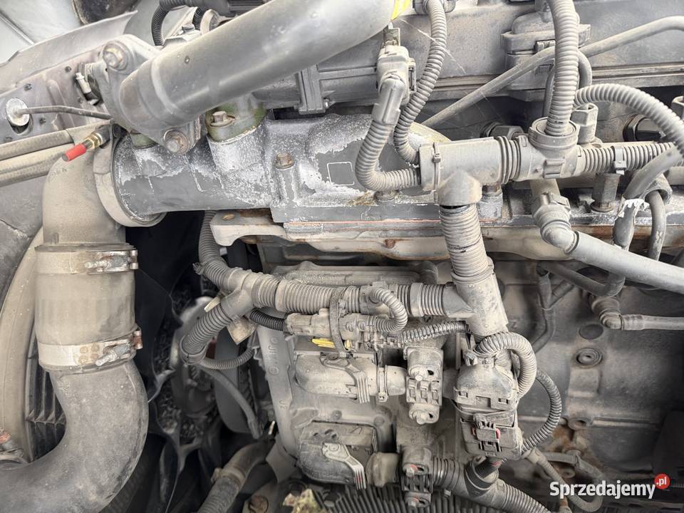 Silnik daf Lf cf euro6 px7 172 k3 67l 2022 300 Siedlec