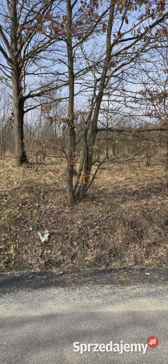 Działka 2847m2 Marcyporęba małopolskie