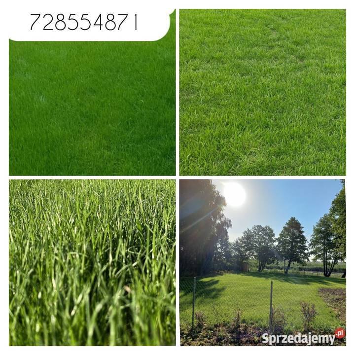 Usługi ogrodnicze glebogryzarka separacyjna Dęblin