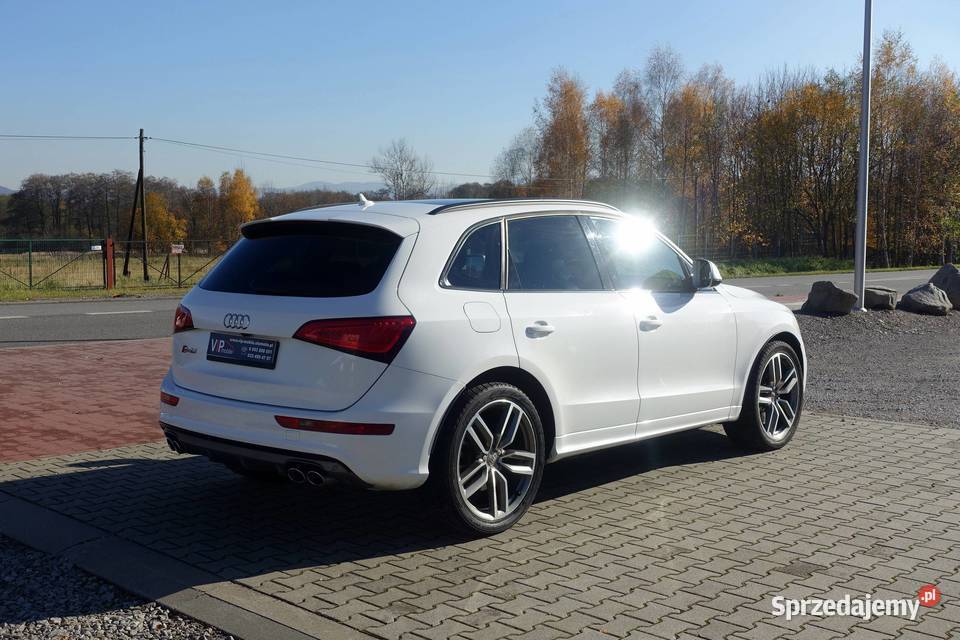 Audi SQ5 30TDI 313 Quattro 4x4 Automat Niski SQ5 śląskie Buczkowice sprzedam