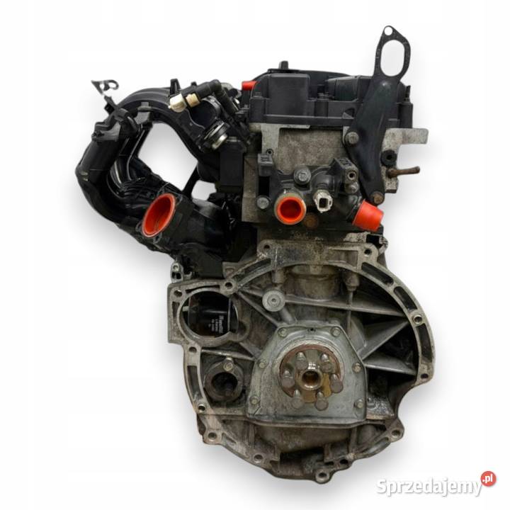 SILNIK SNJA Ford Fiesta VII MK7 125 82 benzyna Chełm
