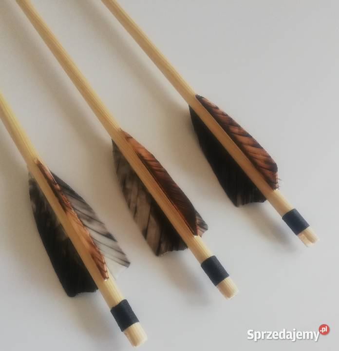 Strzały do łuku drewniane tradycyjne pióra