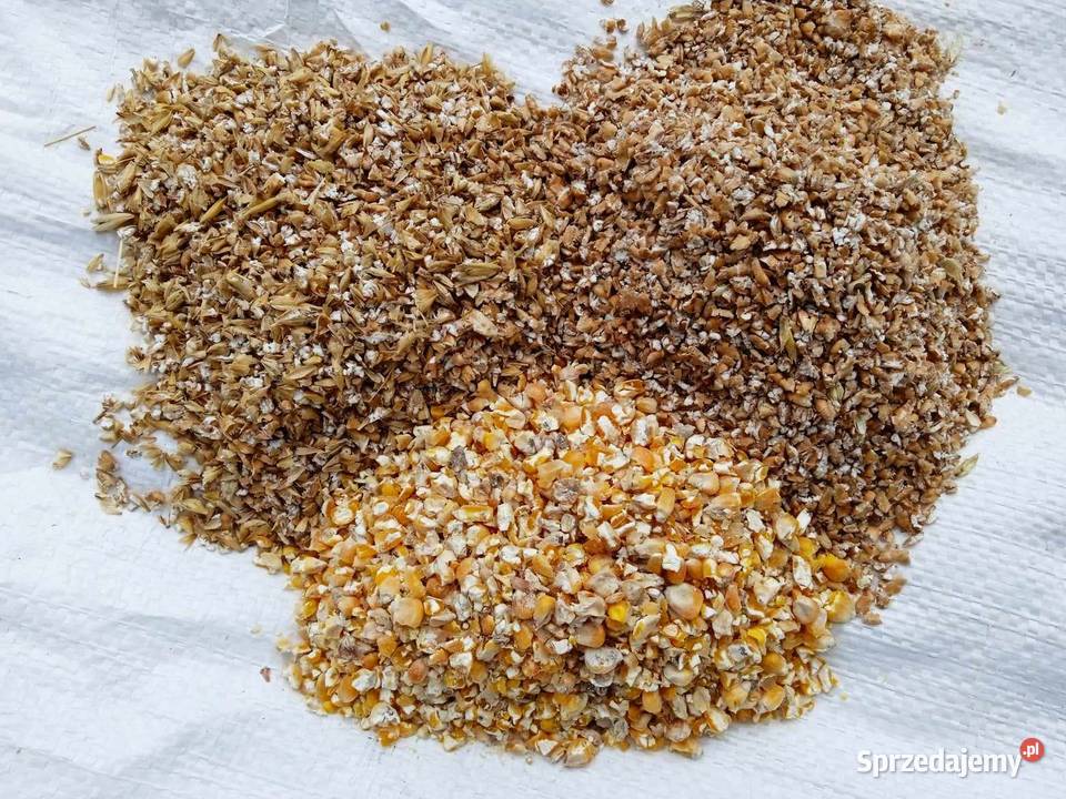 Mieszanka ziaren gniecionych pasza drobiu 25