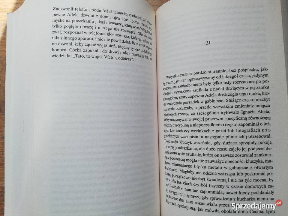 We mgle czasów Antonio Munoz Molina Kraków sprzedam