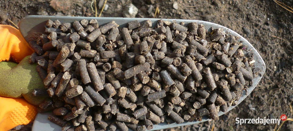 Obornik kurzy granulowany Ekologia Dwikozy