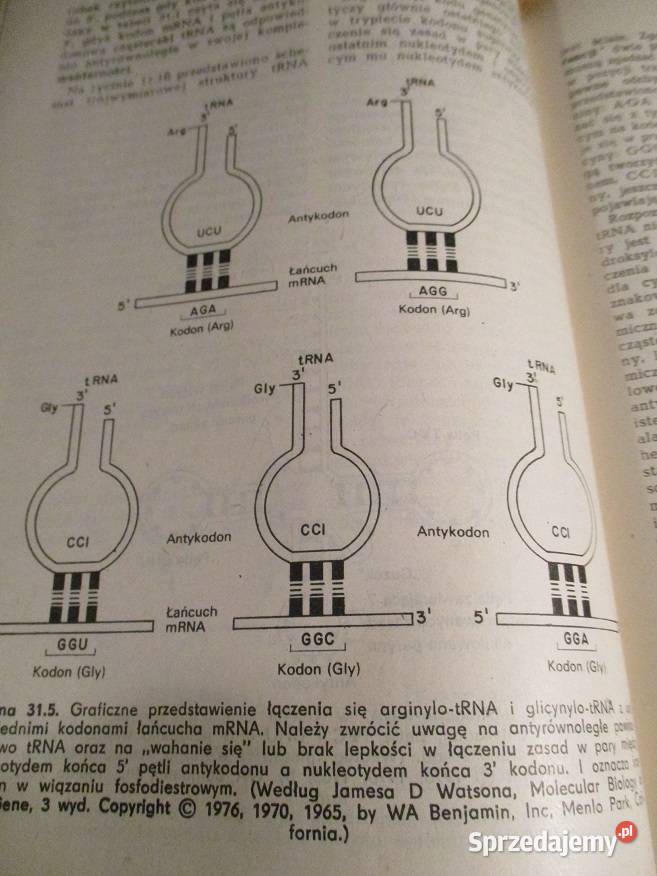 Zarys chemii fizjologicznej Harper medycyna sprzedam