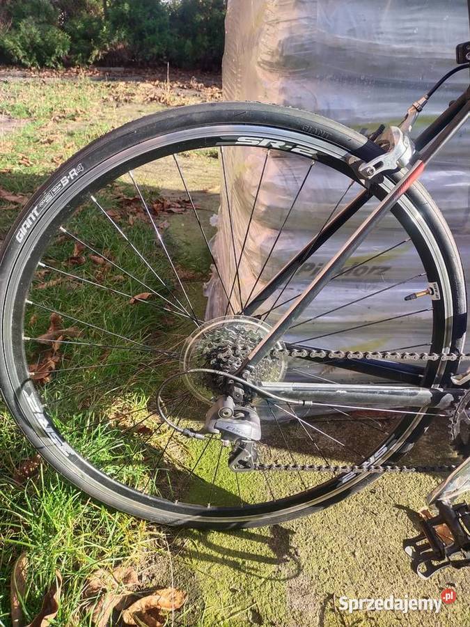 Rower szosowy Giant defy 5 Bełchatów