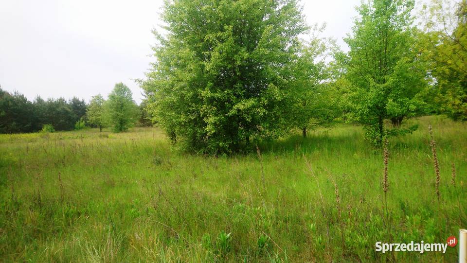 Sprzedam działkę o powierzchni 1080m2 z prawem Popielżyn-Zawady