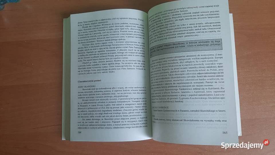 Opracowania lektur klas 1 do 3 gimnazjum Rok wydania 2004 Zamość sprzedam