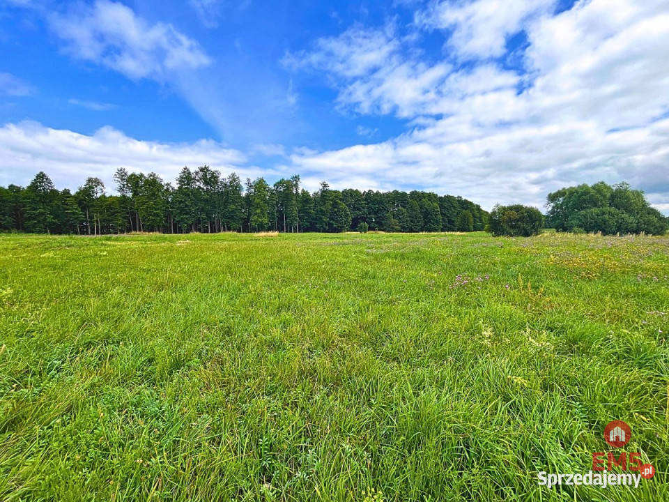 Działkę sprzedam 3030 metrów Harsz Sprzedaż