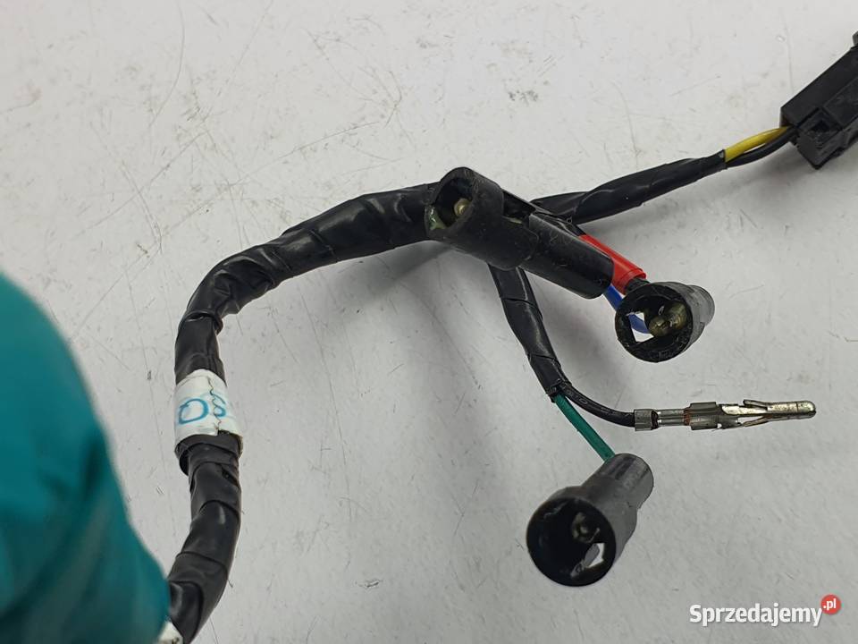 Kosrtka Wtyczka Wiazka Instalacja Triumph Speed Łódź