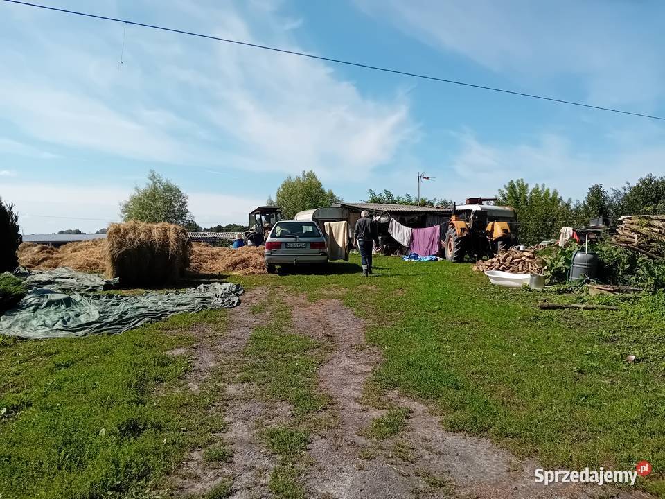 Syndyk sprzeda udziały w grunatach Żurawiec Sprzedaż Jurandowo