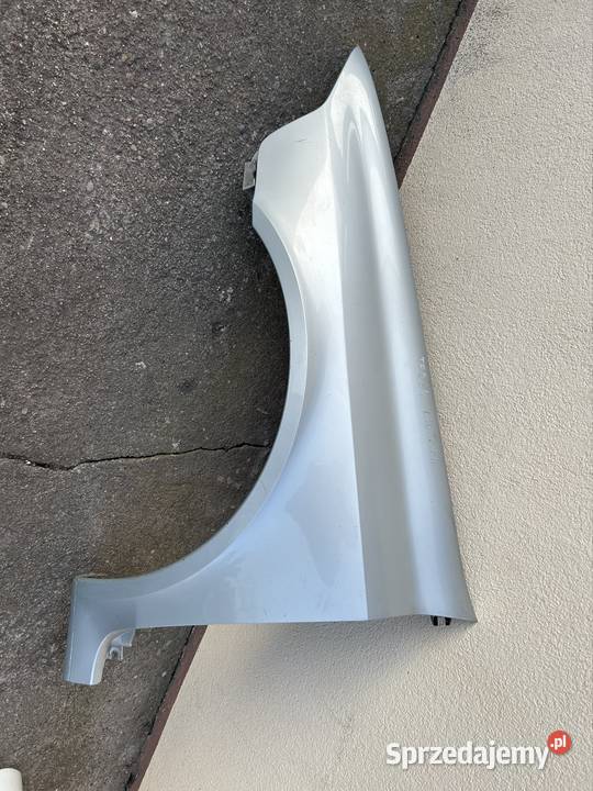 Błotnik lewy przód renault laguna 2 teb64 osobowe Grudziądz sprzedam