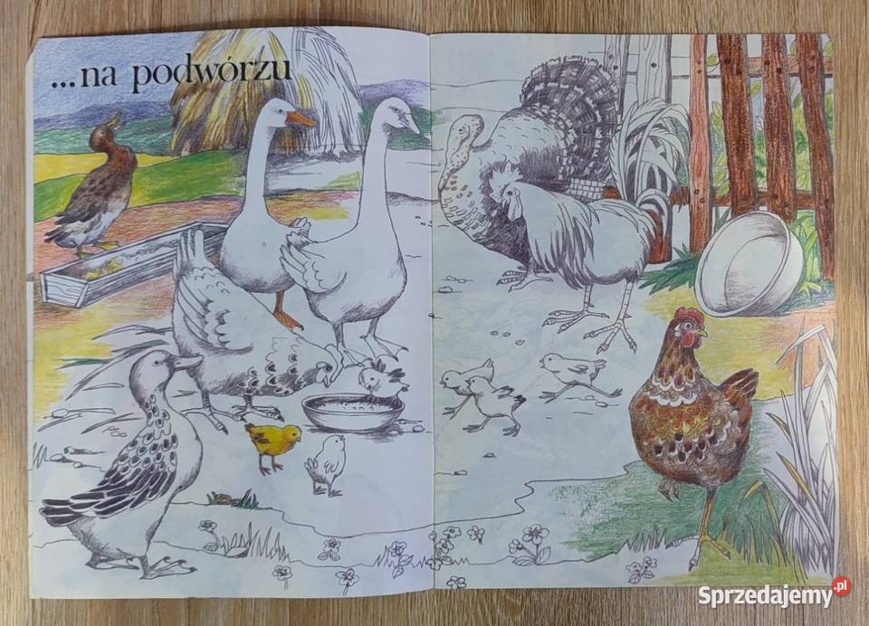 Ptaki ptaszki ptaszyska Joanna Casselius Warszawa