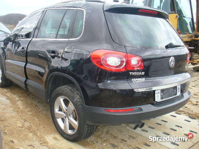 Volkswagen Tiguan Sierakowice