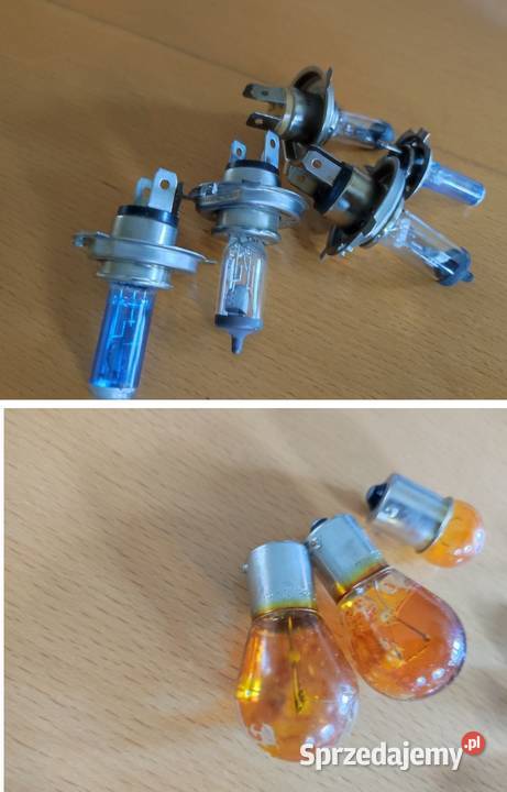 lampka halogen żarówka rurkowe bezpiecznik świętokrzyskie Kielce