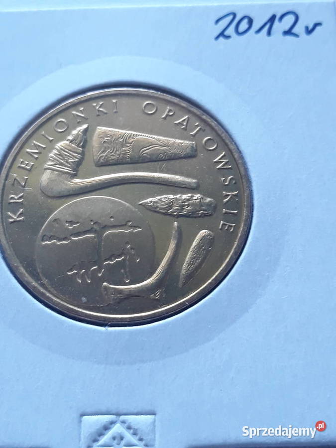 2 Krzemionki Opatowskie 2012 rUNC Konin sprzedam