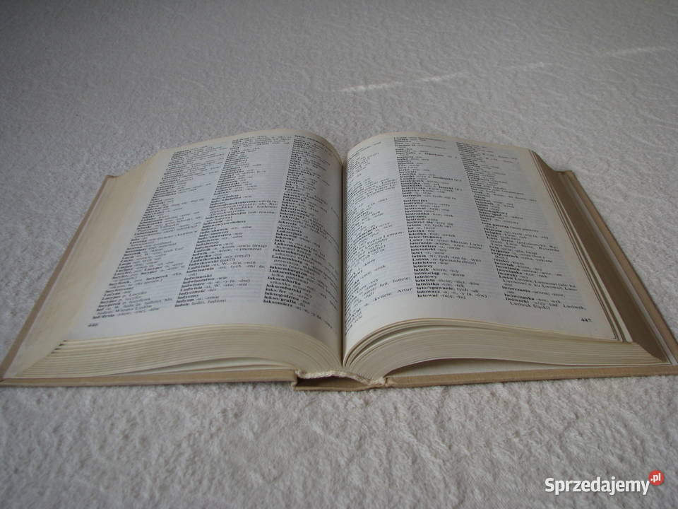 Słownik ortograficzny języka polskiego PWN twarda Brzegi