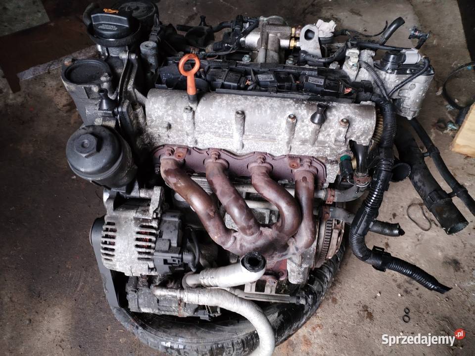 Silnik VW Golf V Plus 16 fsi BLF Silniki kompletne Chęciny