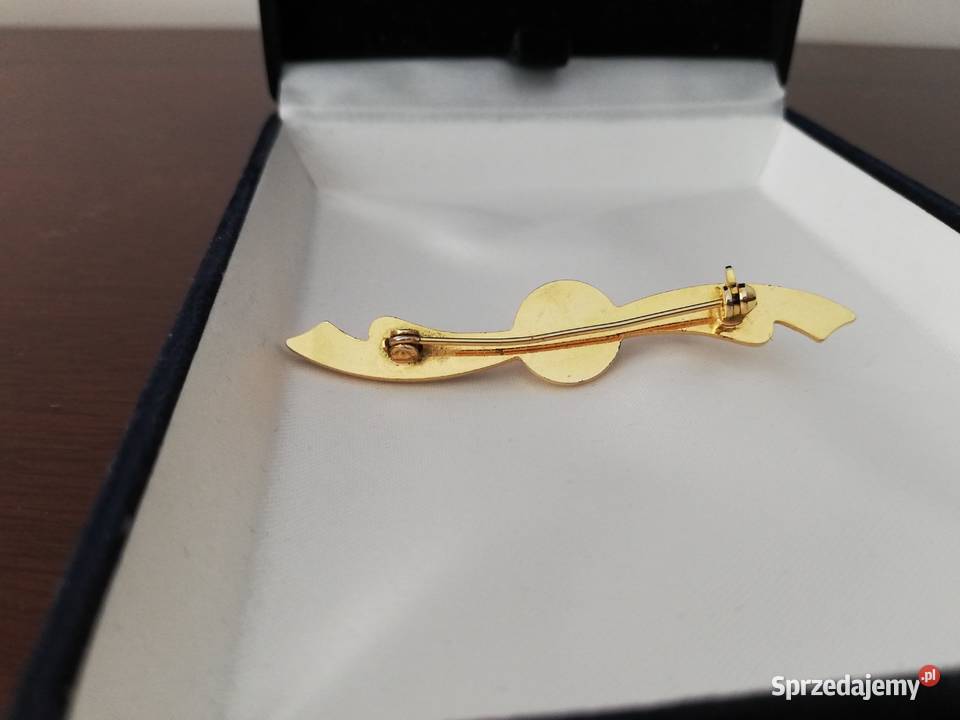 Wykwintna klasyczna broszka z efektownymi Broszki