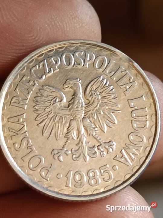 Sprzedam monete 1 zloty 1985 odkroj blachy Chełm