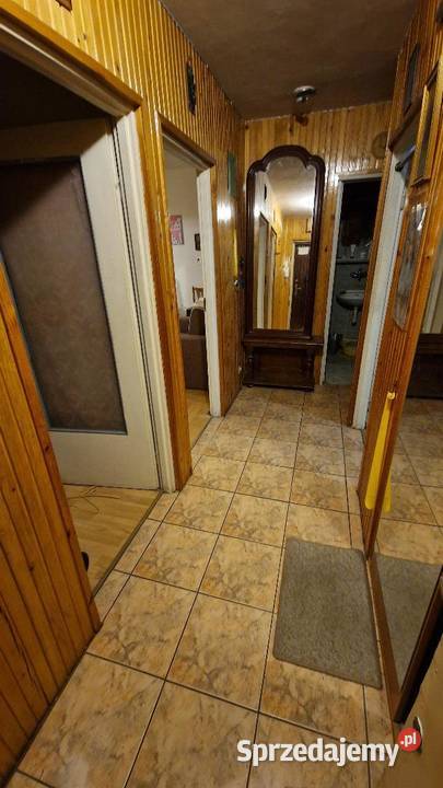 1 pokójsalon pracującej pary 1 osoby Liczba pokoi 3 dolnośląskie Wrocław