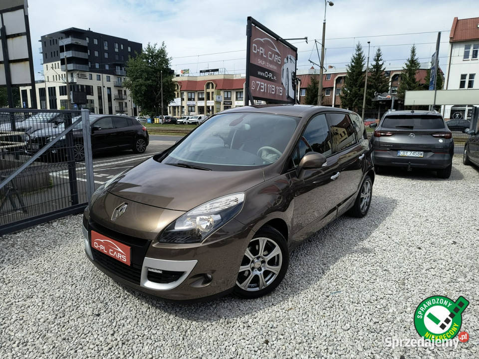 Renault Scenic ALU17 Navi SKÓRA AlpineDLS wielofunkcyjna kierownica Scenic Bydgoszcz